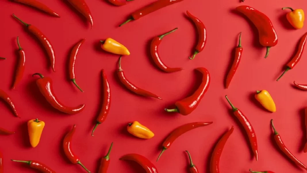 spice-food-background-chili-yellow-paprika-isolated-bright-red-background-cooking-ingredients-seasoning-top-view-trendy-flat-shot-collected-herbs-from-garden-set-peppers-4-1000x650-1