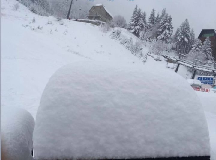 80548407_1424011064434327_8045184863143198720_n