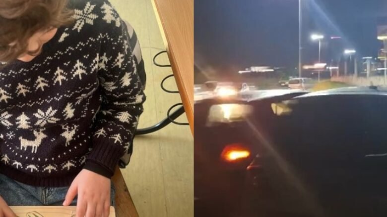 15311133-alpi-i-vogel-780x439