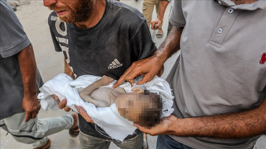 thumbs_b_c_b7df767e46eb86700cc06a41e7746296